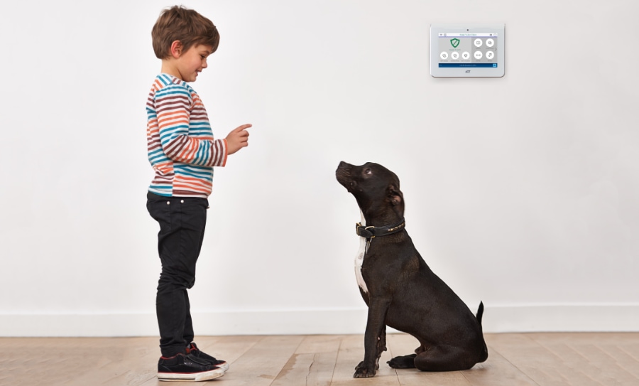 Clementon security systems